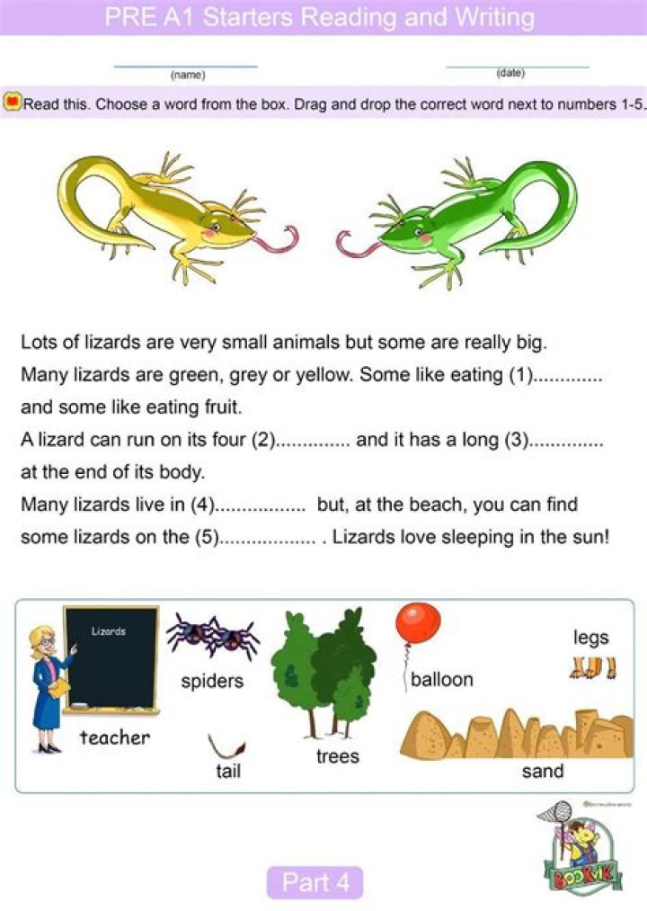 Free 2nd Grade Story Starters Worksheets PDF – Instant Printable Learning Fun