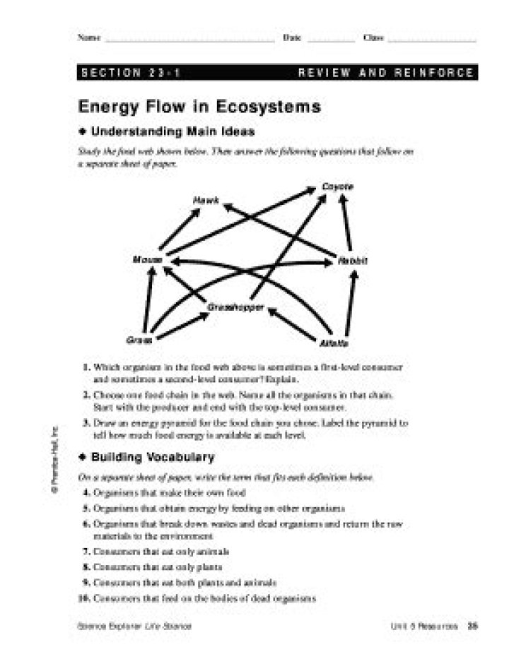 3.3 Energy Flow in Ecosystems: Complete Answer Key PDF