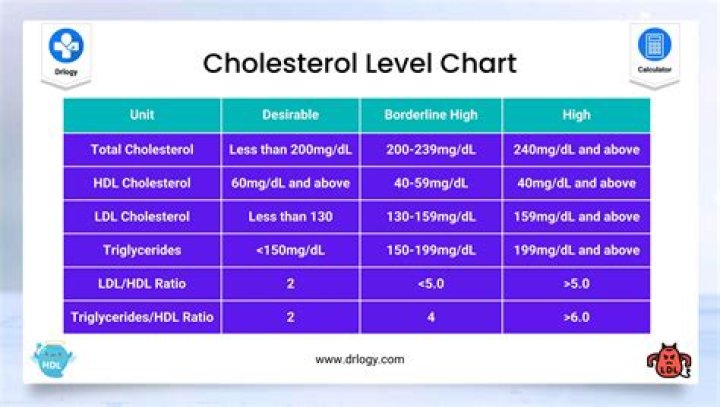 Cholesterol 3.4.1 Worksheet Answers PDF – Complete Guide & Practice