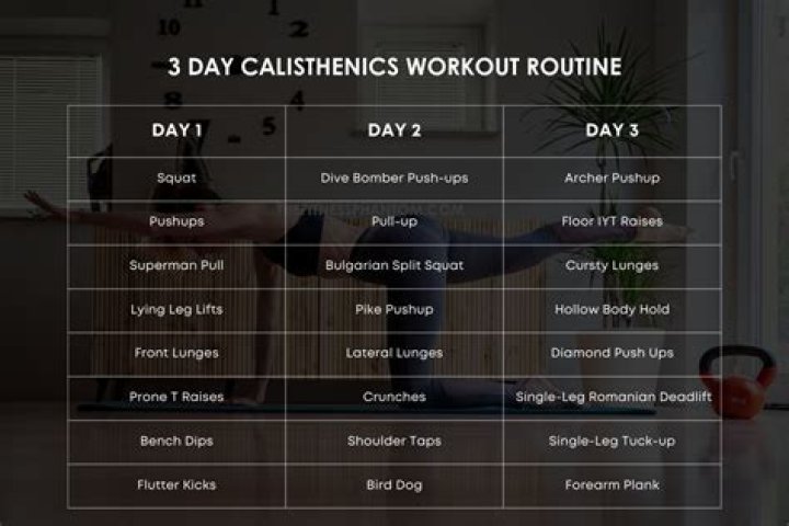 3-Day Calisthenics Workout Plan PDF – Build Strength & Flexibility in Just 3 Days