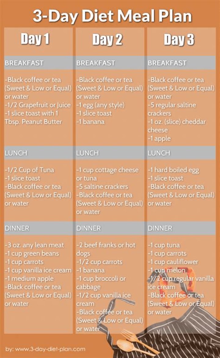 3 Day Diet Plan PDF: Quick & Effective Weight Loss in 3 Days