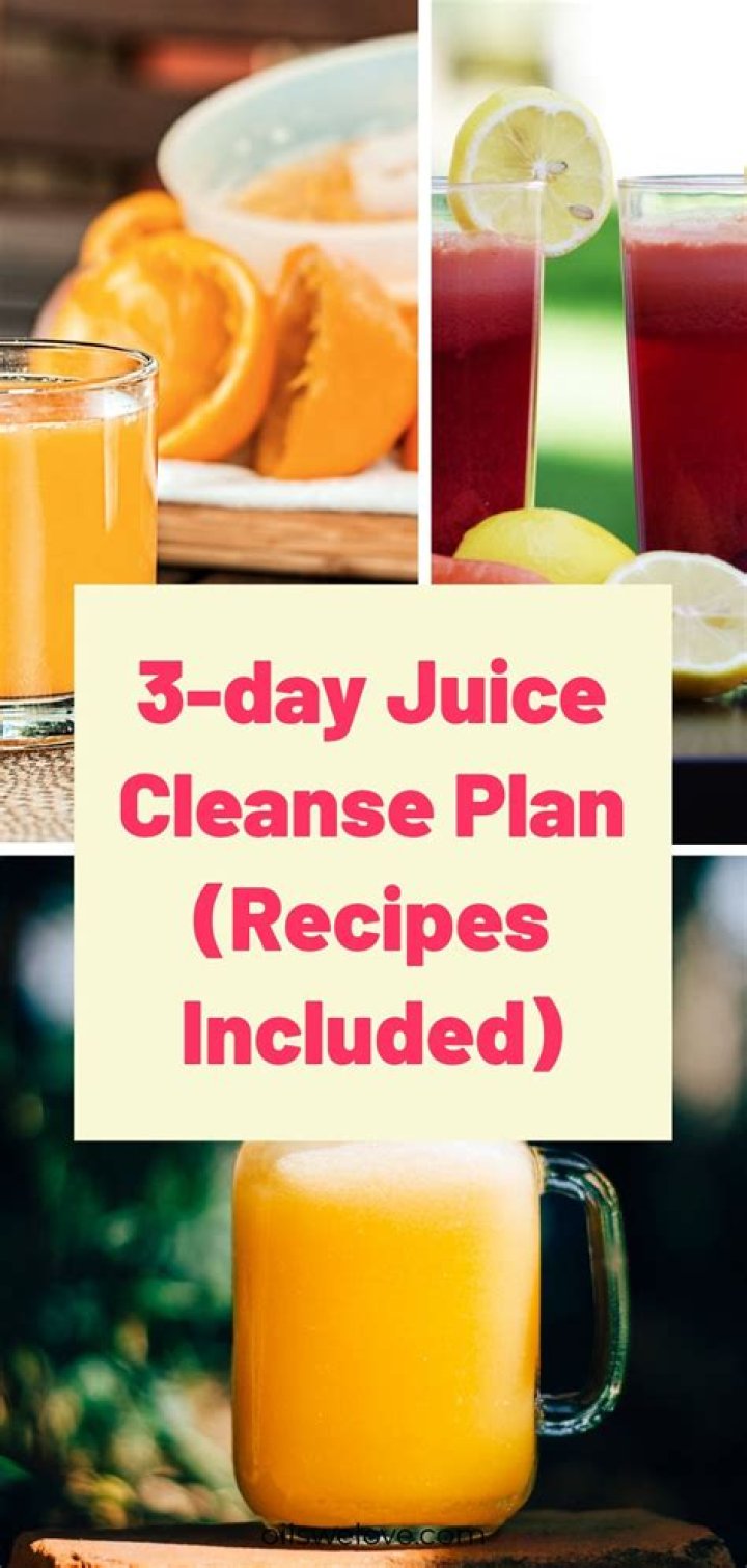 3 Day Juice Cleanse Plan PDF Free Download – Detox & Revitalize