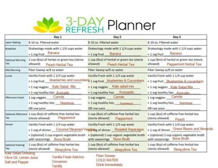 3 Day Refresh Meal Plan PDF for Quick Weight Loss & Energy