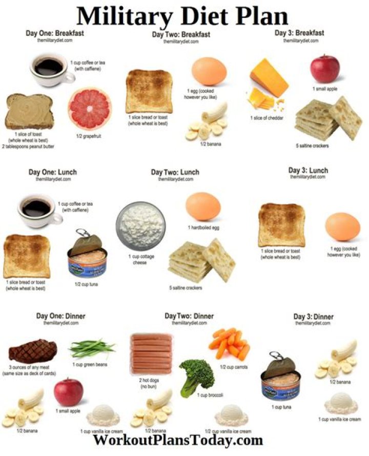 3 Days Military Diet Plan PDF: Ready-to-Follow Combat Nutrition Guide