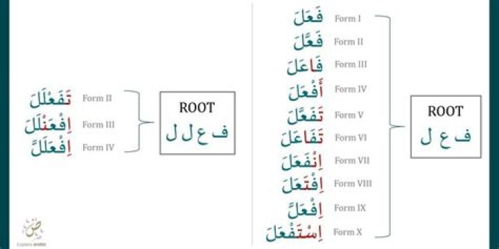 3-Letter Arabic Roots List PDF: Master Core Vocabulary Fast