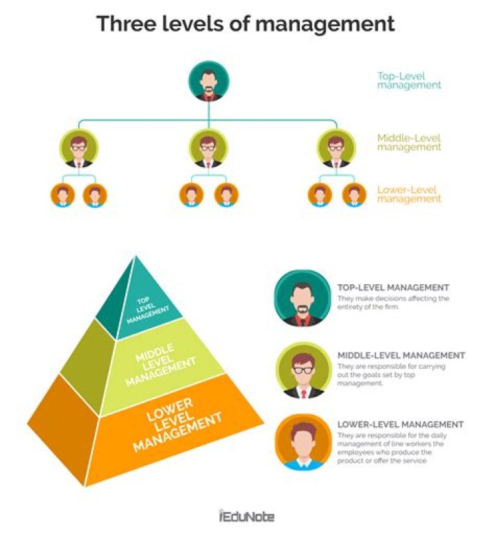 3 Levels of Management: A Comprehensive PDF Guide