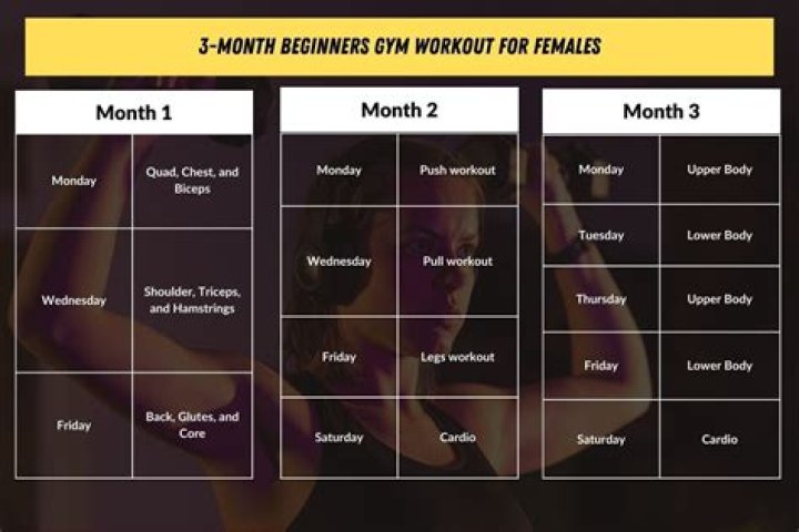 3-Month Gym Workout Plan PDF: Build Muscle & Burn Fat Fast