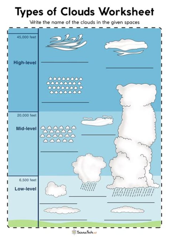 3 Types of Clouds Worksheet PDF for Students
