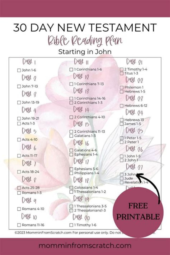 30-Day New Testament Reading Plan PDF – Complete Bible Study