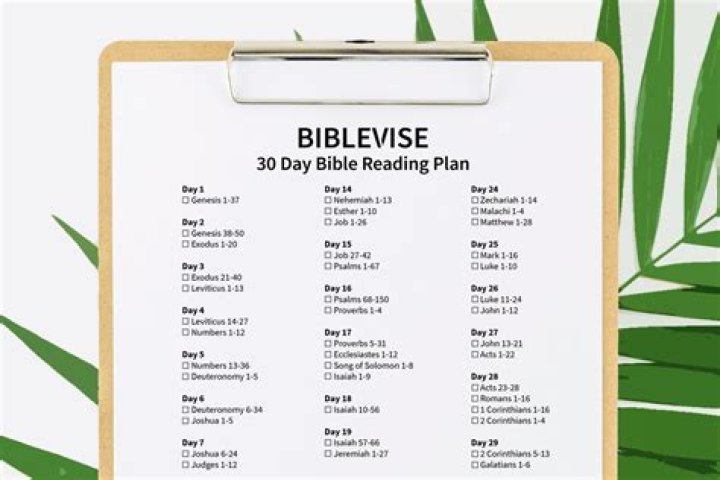 30-Day Bible Reading Plan PDF: Daily Verses & Reflections