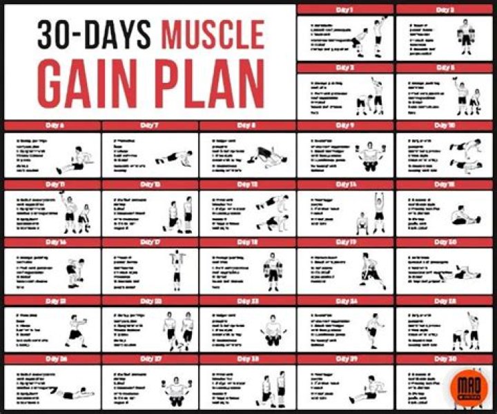 30-Day Muscle Gain Plan PDF Free – Build Strength Fast