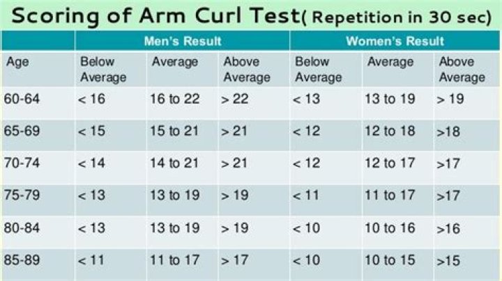 30-Second Arm Curl Test: Quick Strength Assessment PDF