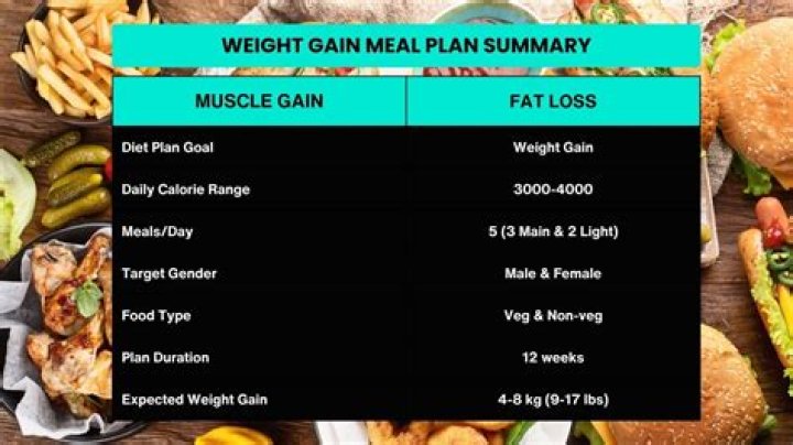 3000-Calorie Meal Plan to Gain Muscle – PDF Workout Nutrition Guide