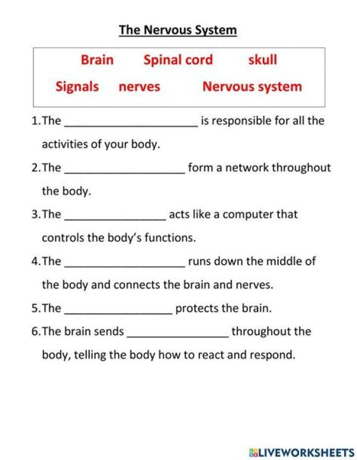 31.2 Central Nervous System Answer Key PDF – Complete Study Guide
