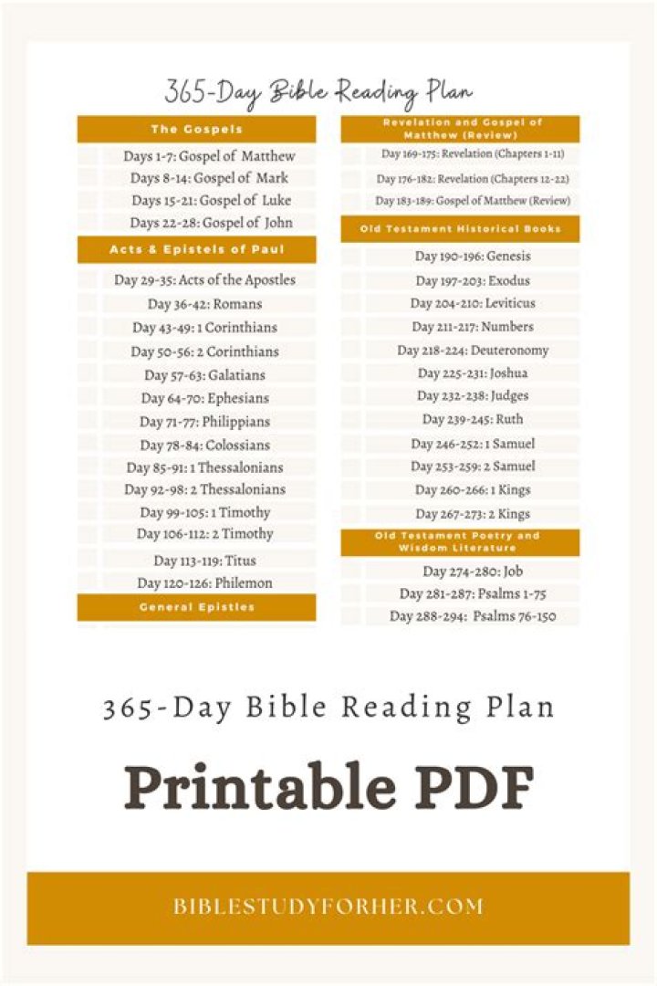 365-Day Bible Reading Plan PDF Free 2023 – Complete Digital Guide