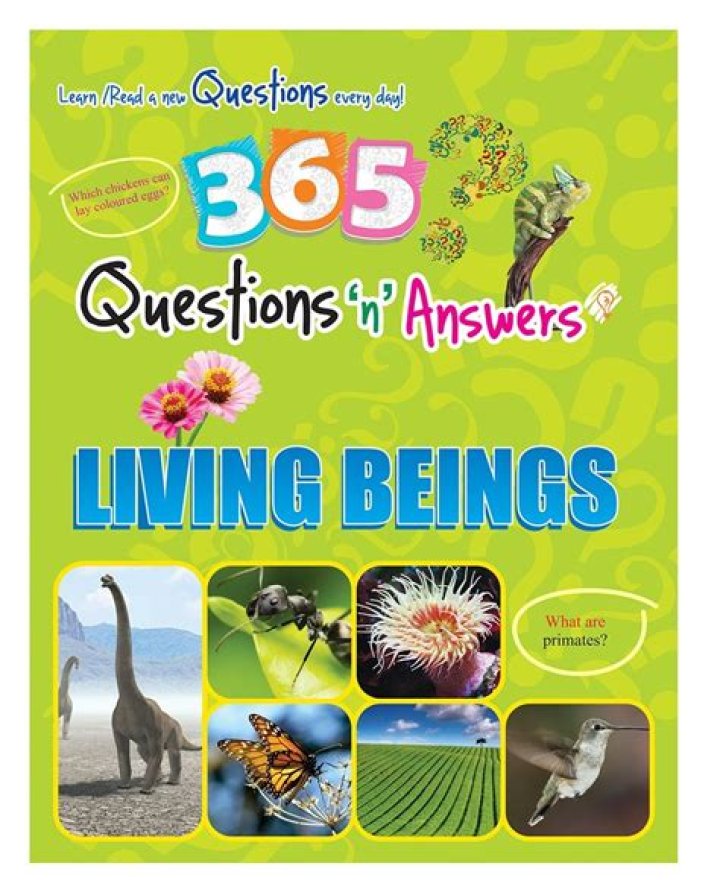 365 Daily Questions Book in PDF – Download Instant Knowledge