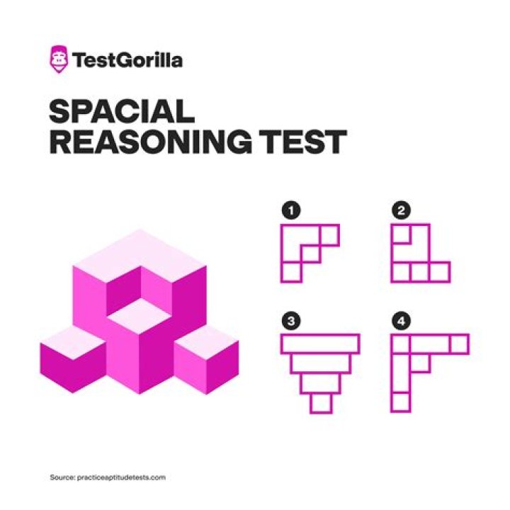 3D Spatial Reasoning Test with Answers PDF – Perfect for Students & Professionals