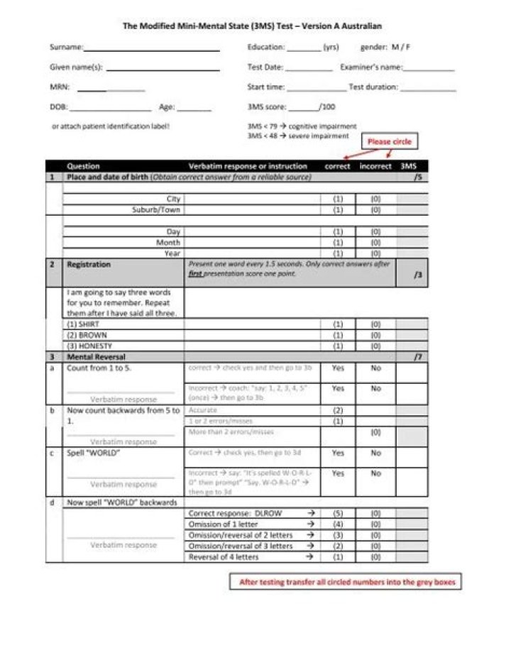 3ms Test PDF: Instant Validation & Quick Results
