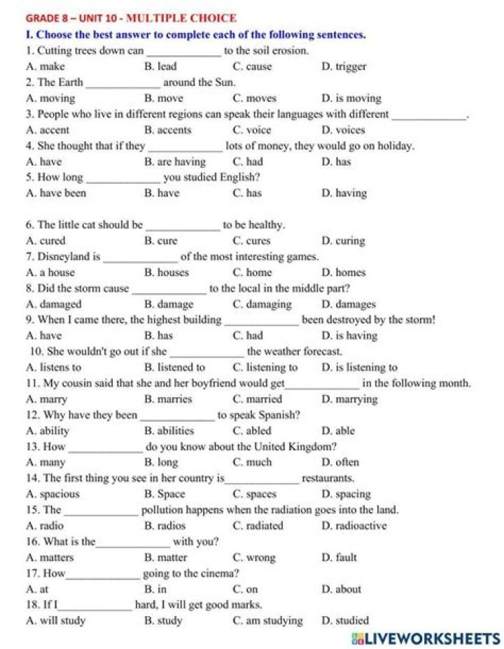 3rd Grade English Grammar Multiple Choice Questions with Answers PDF