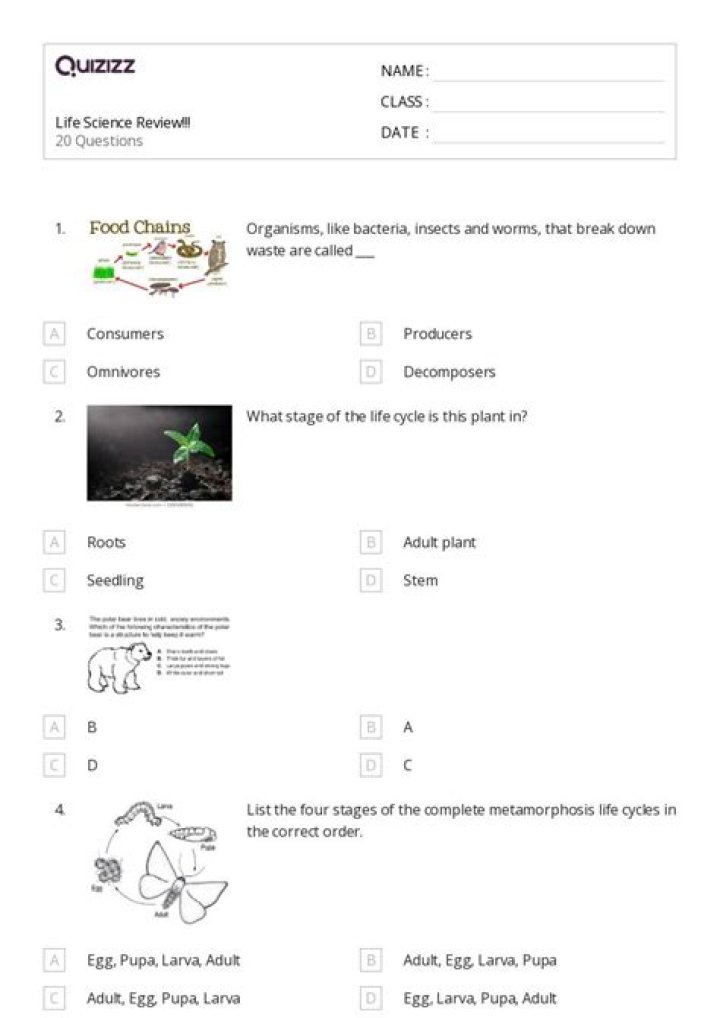 3rd Grade Science Test PDF for Classroom & Home Use