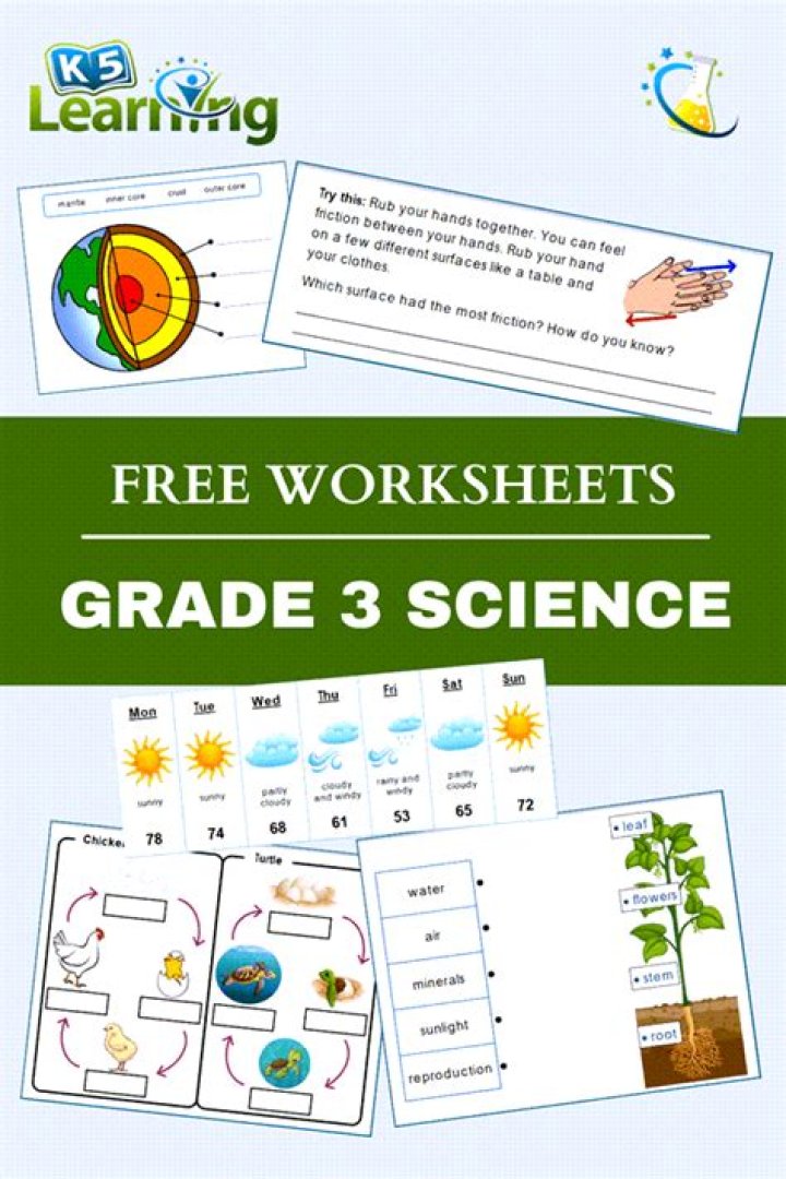 Free 3rd Grade Science Worksheets PDF for Instant Download