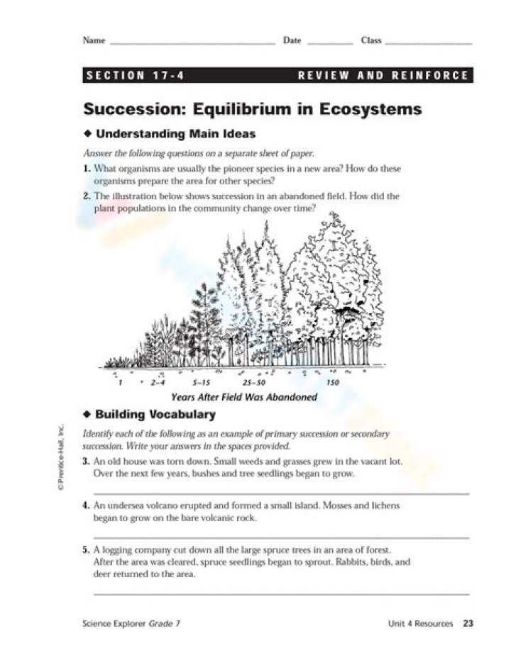 4.3 Succession Planning PDF Answer Key & Guide