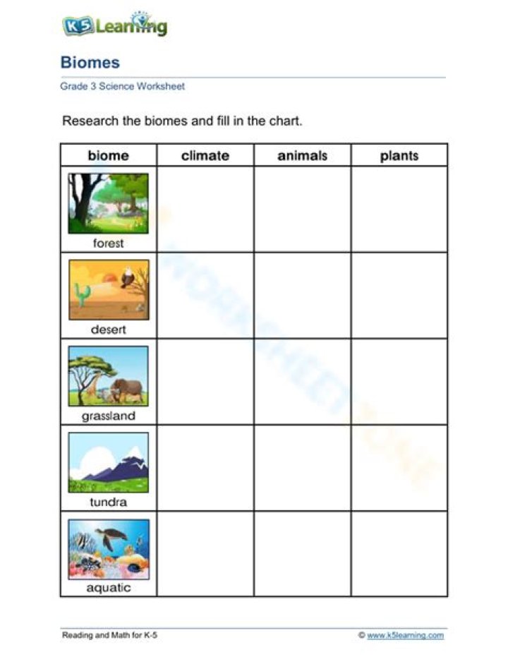 4.4 Biomes Worksheet Answer Key PDF – Instant Download