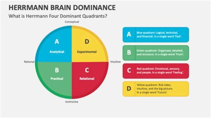 Unlock Brain Potential: 4 Quadrants of the Brain Test PDF