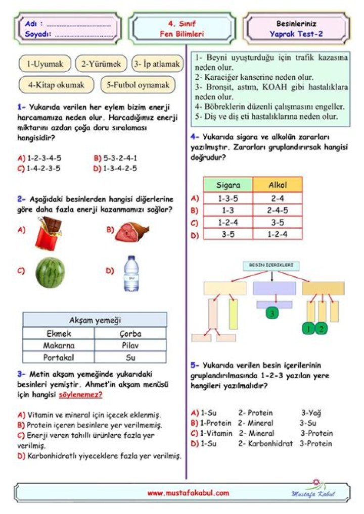 4. Sınıf Fen Bilimleri Test PDF İçin İyi Sonuç Läğırlar