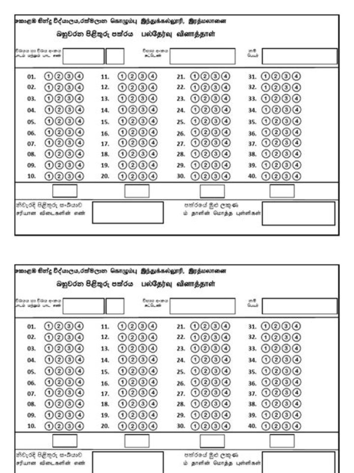 40 MCQ Answer Sheet PDF Download – Instant Access