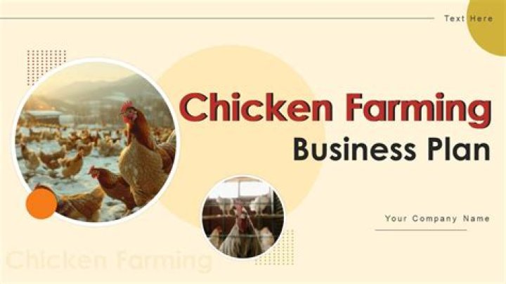 45 Days Chicken Business Plan PDF: Profitable Startup Guide