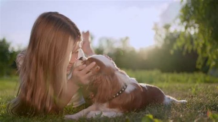 49+ Boys, Girls, and Dog Names That Mean Protector PersudeEd