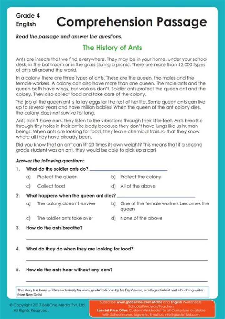 4th Grade Reading Comprehension Passages with Questions & Answers PDF