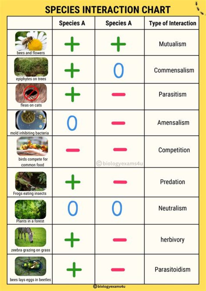 5.2 Species Interactions PDF Answers – Expert Study Guide