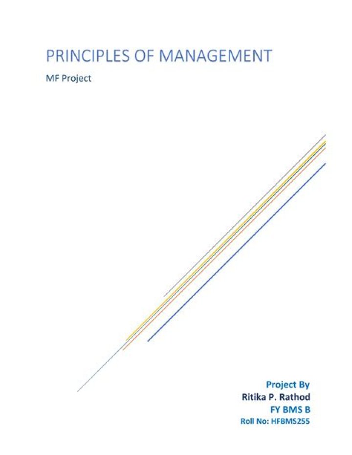 5 Basic Principles of Management PDF: Essential Guide for Success