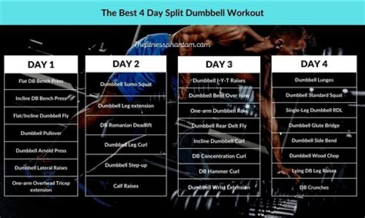 5-Day Bro Split Workout Plan PDF – Build Muscle & Burn Fat Fast