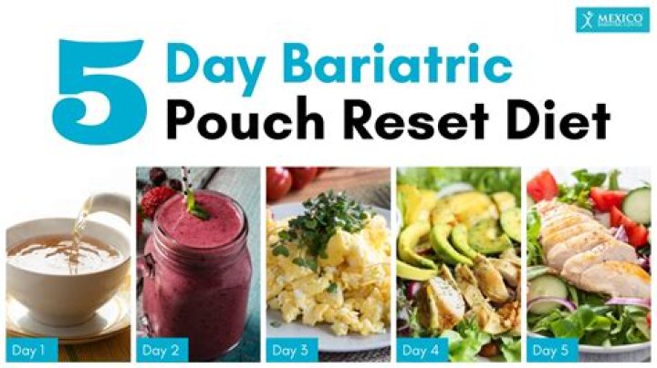 5-Day Pouching Test Owner’s Manual PDF – Easy Access & Full Guide