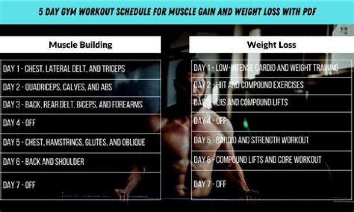 5-Day Muscle Gain Workout Plan PDF for Fast Results
