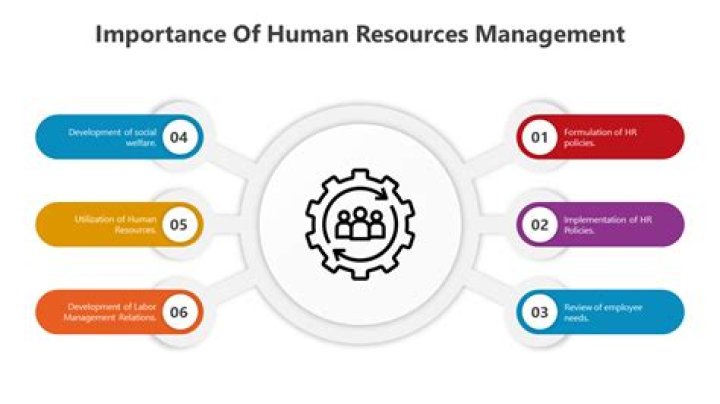 5 Key Importance of Human Resource Management PDF for Workplace Success