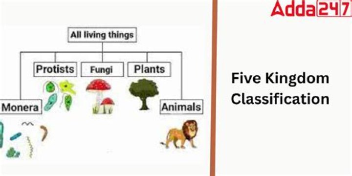 5 Kingdoms of Living Things Worksheet PDF – Free Printable Learning Tool