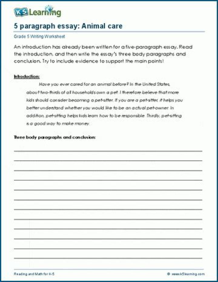 5 Paragraph Essay Worksheet PDF – Printable Homework Resource