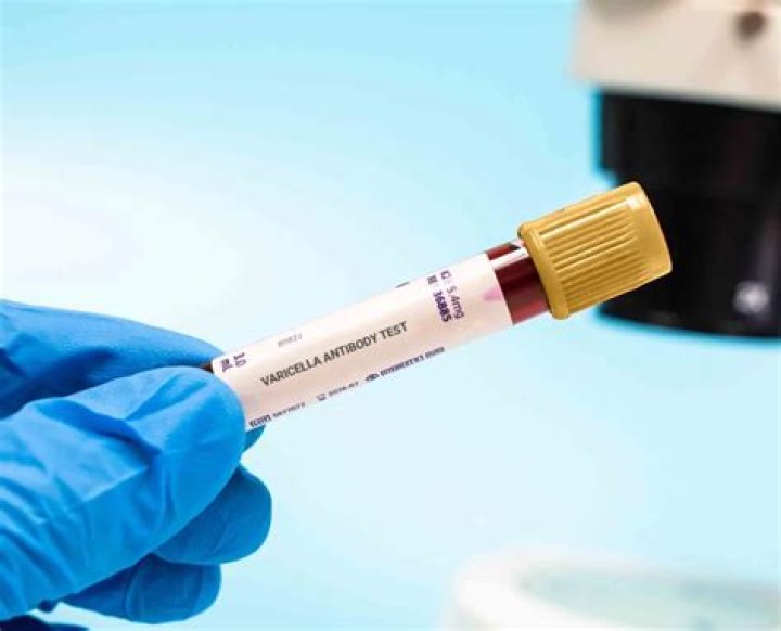 5 Sınıf Sıfatlar Test PDF – Üniversite Öğrenciler İçin
