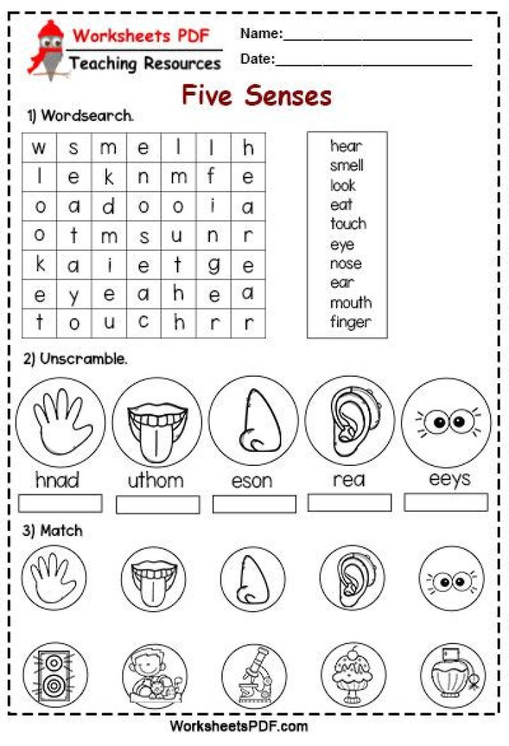 5 Senses Worksheets PDF – Free Printable Learning Activities