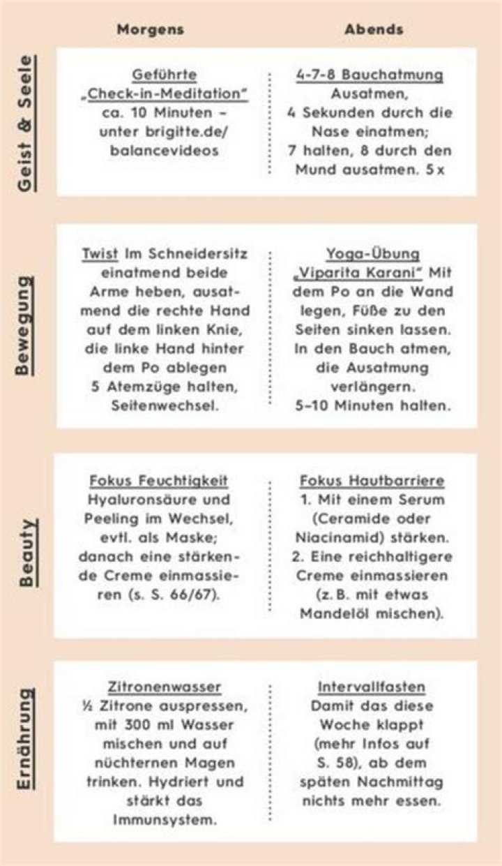 5 Tage Entgiftungsplan PDF – Effektiver Körper-Reset in nur 5 Tagen