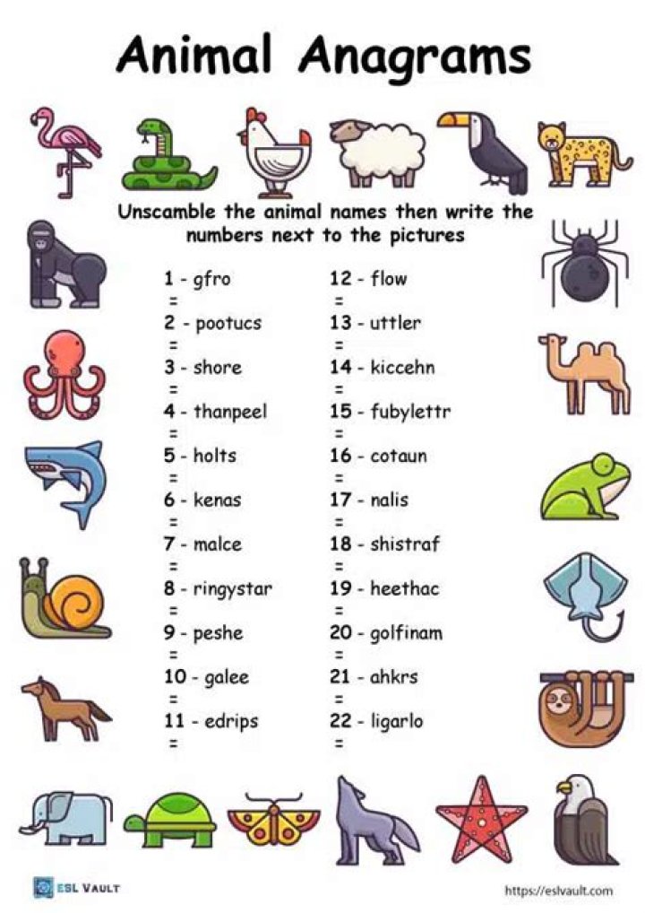 50 Anagrams with Answers PDF – Solve & Learn