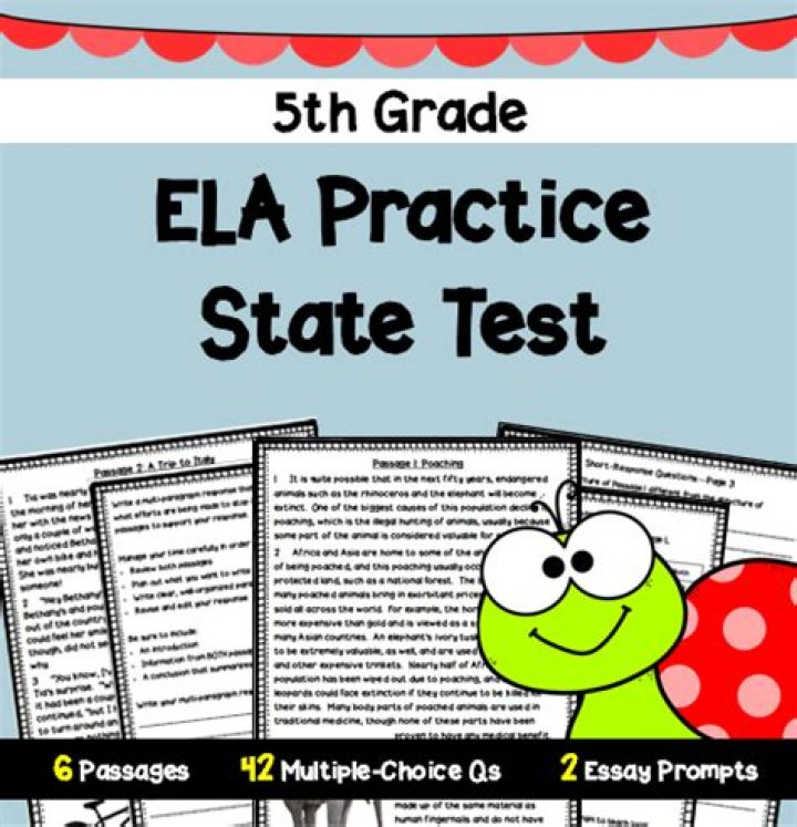 5th Grade ELA State Test Practice PDF – Instant Free Study Materials