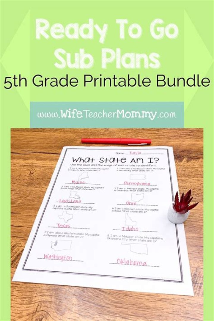 5th Grade Emergency Sub Plans PDF: Ready-to-Use Lessons for Any School Crisis
