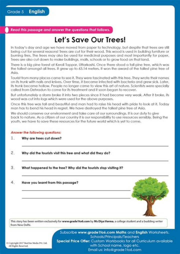 5th Grade English Tests PDF – Printable Practice Worksheets