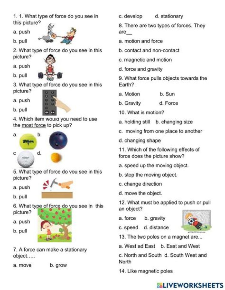5th Grade Forces and Motion Test PDF – Practice & Review