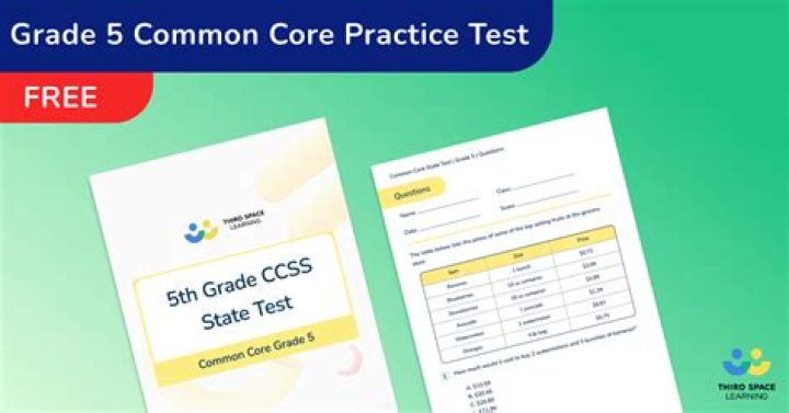 5th Grade Math Common Core Practice Test Chapter 3 PDF